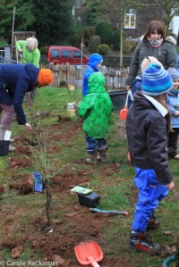 Jardin Transition 2014  (4 of 50)