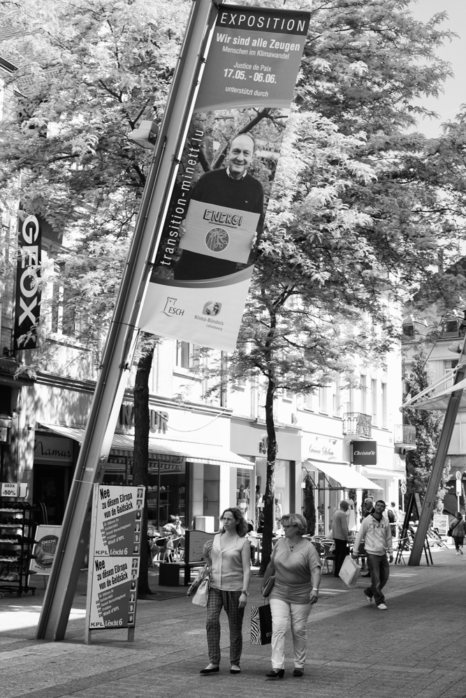 transition-minett (1 of 1)