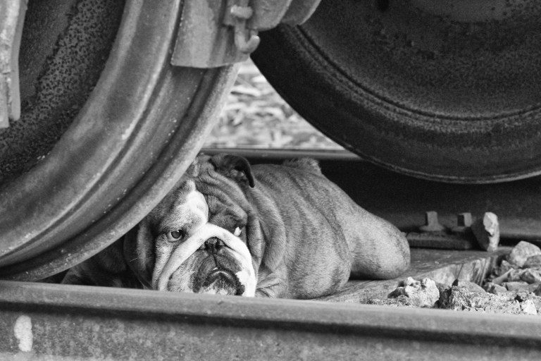 Doro&Goa (1 of 1)-24