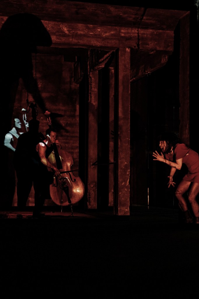 Vu, revu & transformé  (1 of 1)