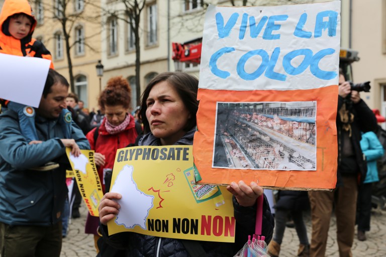 Meng Landwirtschaft-1-11