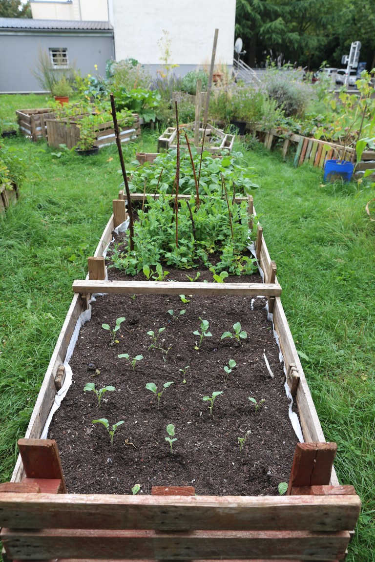 transition-minett-urban-gardening-5